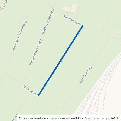 Narzissenweg Dessau-Roßlau Törten 