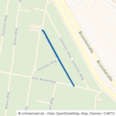 Gladiolen Weg 67063 Ludwigshafen am Rhein Friesenheim 