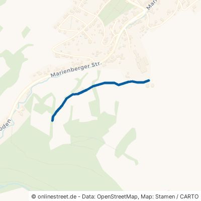 Leichenweg Großrückerswalde 