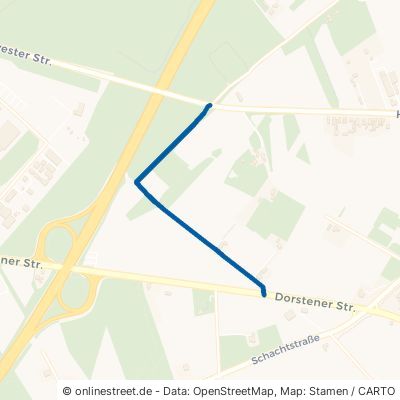 Wittebergweg Marl Alt-Marl 