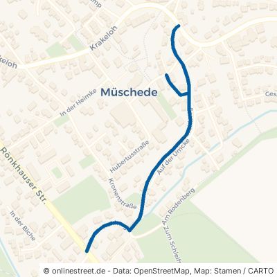 Hohlweg Arnsberg Müschede 