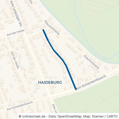 Ginsterweg Dessau-Roßlau Haideburg 