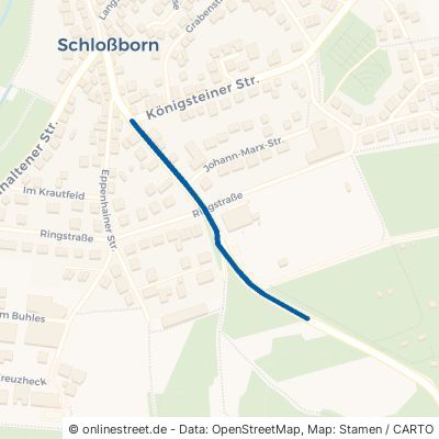 Ruppertshainer Straße Glashütten Schloßborn 