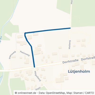 Bohlweg Lütjenholm 