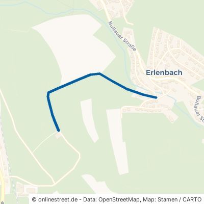 in Den Neuwiesen Erbach Erlenbach 
