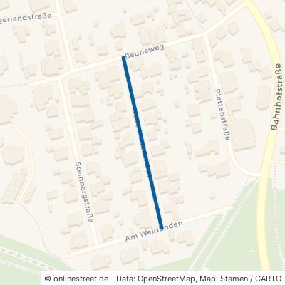 Neue Hanauer Straße Ortenberg Bleichenbach 