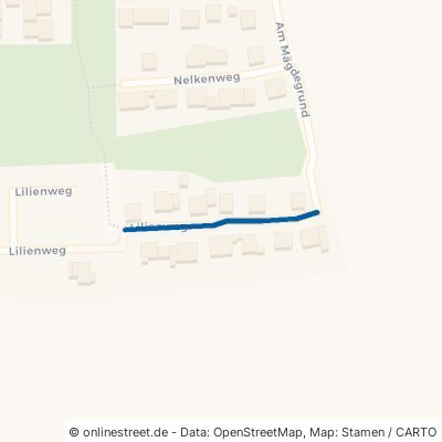 Lilienweg Querfurt 