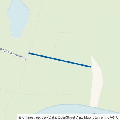 Alte Weide-Finkenweg Schwaan 