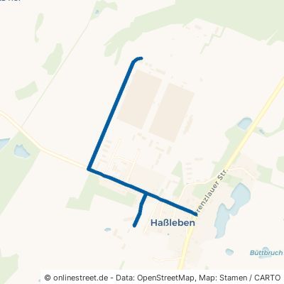 Kuhzer Straße 17268 Boitzenburger Land Haßleben 