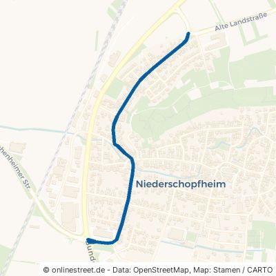 Alte Landstraße 77749 Hohberg Niederschopfheim Niederschopfheim