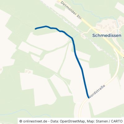 Brautbergweg Horn-Bad Meinberg Schmedissen 