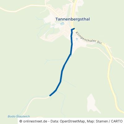 Schneckensteiner Straße 08262 Muldenhammer Tannenbergsthal 