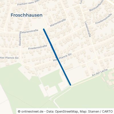 Am Zippenweg 63500 Seligenstadt Froschhausen 