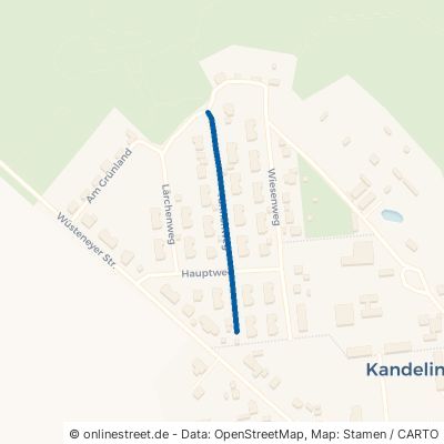 Tannenweg 18516 Süderholz Kandelin 