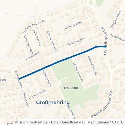 Albrecht-Dürer-Straße Großmehring 