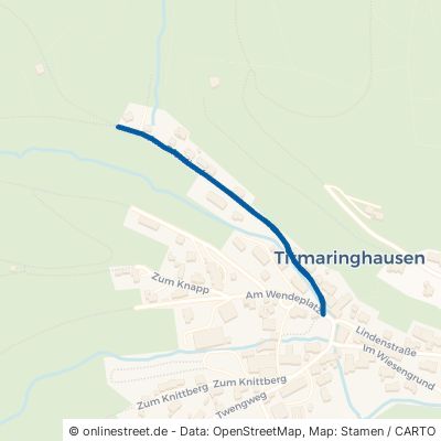 Am Pferdlauf Medebach Titmaringhausen 