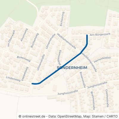 Erlenstraße 76726 Germersheim Sondernheim 