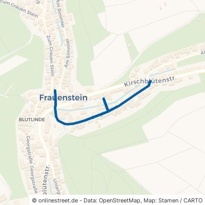 Burglindenstraße Wiesbaden Frauenstein 