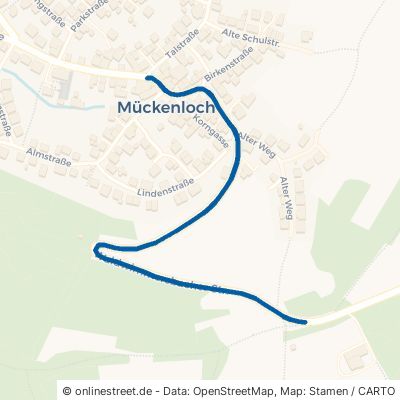 Waldwimmersbacher Straße Neckargemünd Mückenloch 