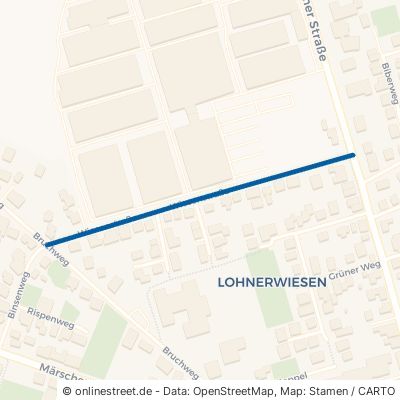 Wiesenstraße 49393 Lohne Lohne 
