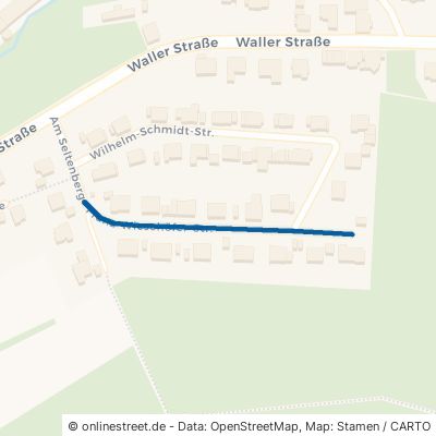 Franz-Wiesehöfer-Straße 59872 Meschede Calle 