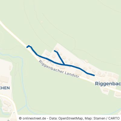 Riggenbacher Weg 79872 Bernau im Schwarzwald Riggenbach 