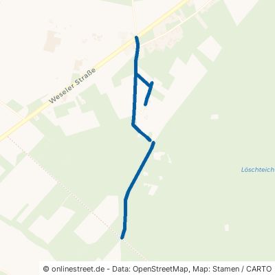 Waldweg Kamp-Lintfort Saalhoff 