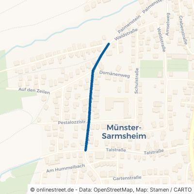Bürgermeister-Schöck-Straße Münster-Sarmsheim 