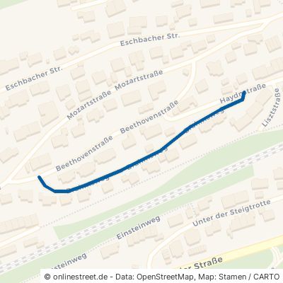 Brahmsweg Waldshut-Tiengen Waldshut 
