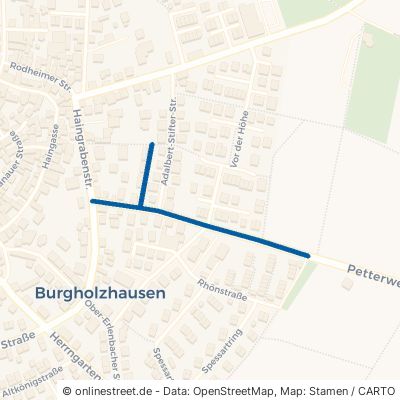 Petterweiler Straße 61381 Friedrichsdorf Burgholzhausen 