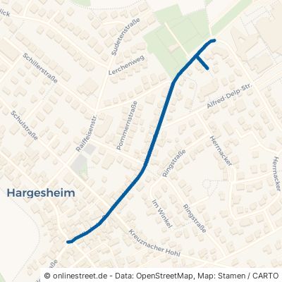 Kirchstraße Hargesheim 