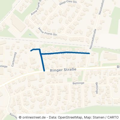 Gebrüder-Van-Eyk-Straße 49824 Emlichheim 