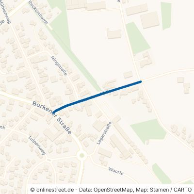Pater-Arnold-Straße Borken Borkenwirthe/Burlo 
