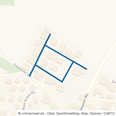 Emanuel-Schikaneder-Straße 94234 Viechtach 