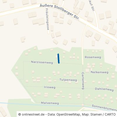 Asternweg 09376 Oelsnitz (Erzgebirge) 