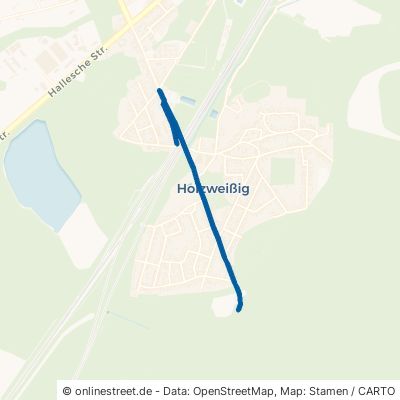 Straße des Friedens Bitterfeld-Wolfen Holzweißig 