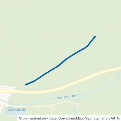 Wiesenweg Oberharz am Brocken Tanne 