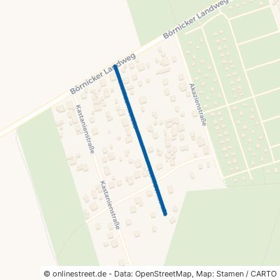 Weißdornstraße 16321 Bernau bei Berlin Bernau 