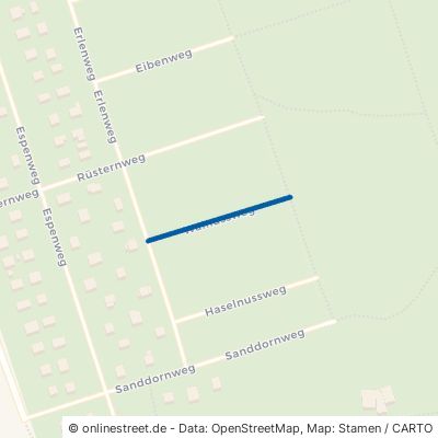 Walnussweg 16321 Bernau bei Berlin Birkenhöhe 