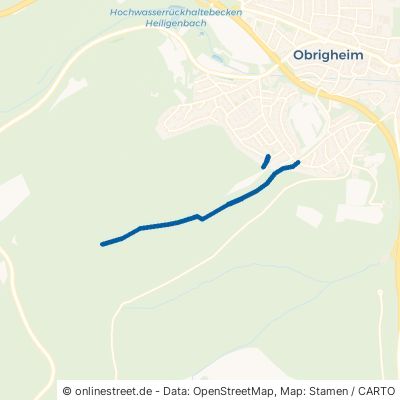 Sommerrainweg Obrigheim 