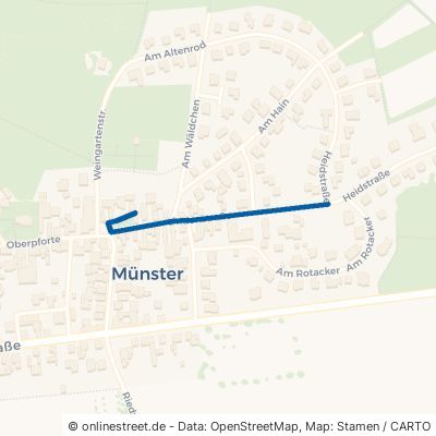 Lindenstraße Laubach Münster 