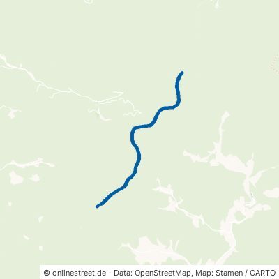 Durchgehender Weg Oberharmersbach Holdersbach 