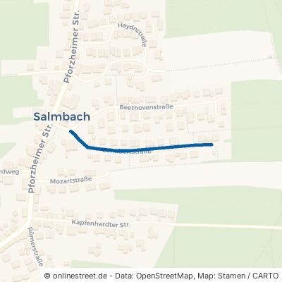 Schubertstraße Engelsbrand Salmbach 