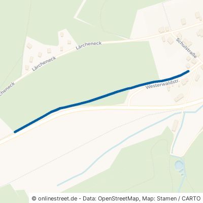 Fuß/Radweg Ehringshausen Greifenthal 