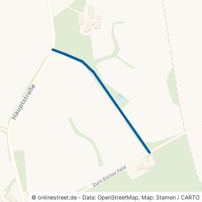 Johanninkweg 49828 Esche 