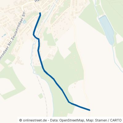 Niederböhmersdorfer Straße Zeulenroda-Triebes Triebes 