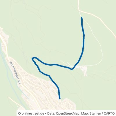 Indlekoferweg Waldshut-Tiengen 
