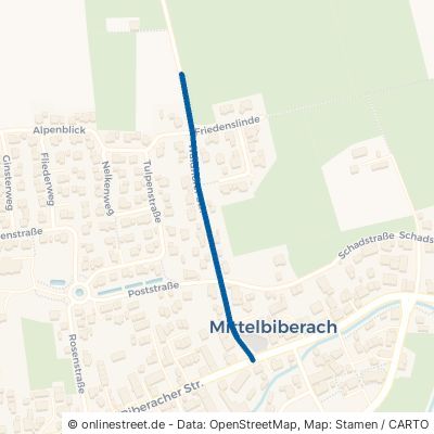 Waldhofer Straße 88441 Mittelbiberach 