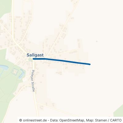 Senftenberger Straße Sallgast Sallgast 
