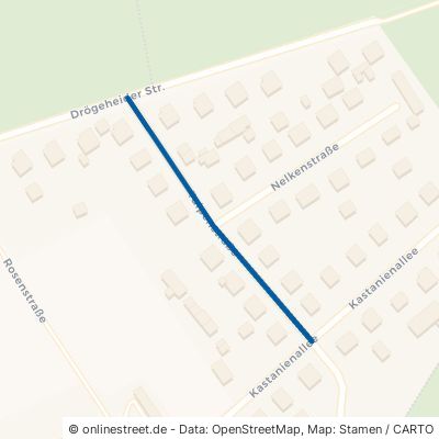 Tulpenstraße 17358 Torgelow Drögeheide 